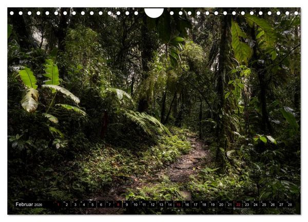 Produktbild: COSTA RICA Farben und Licht (Wandkalender 2026 DIN A4 quer), CALVENDO Monatskalender