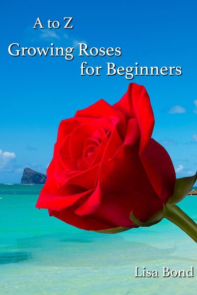 Produktbild: A to Z Growing Roses for Beginners