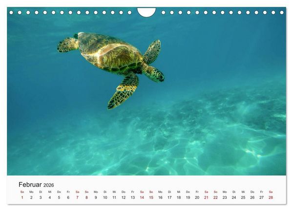 Produktbild: Hawaii - Sommer, Sonne, Urlaub (Wandkalender 2026 DIN A4 quer), CALVENDO Monatskalender