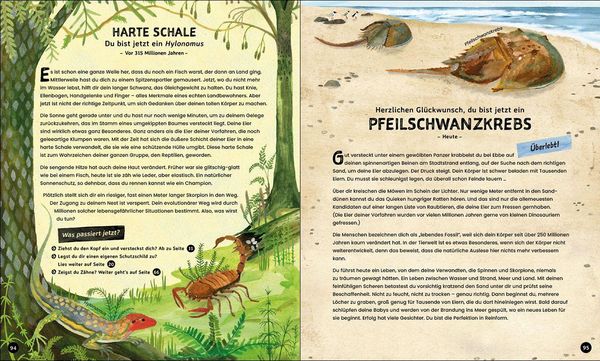 Produktbild: Evolution - Aussterben oder &uuml;berleben? Du entscheidest!
