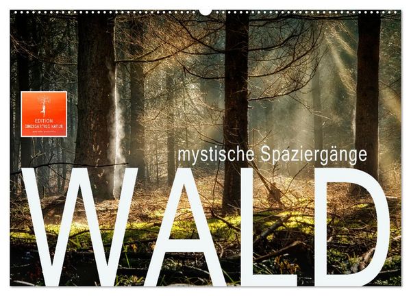 Wald - mystische Spaziergänge (Wandkalender 2026 DIN A2 quer), CALVENDO Monatskalender