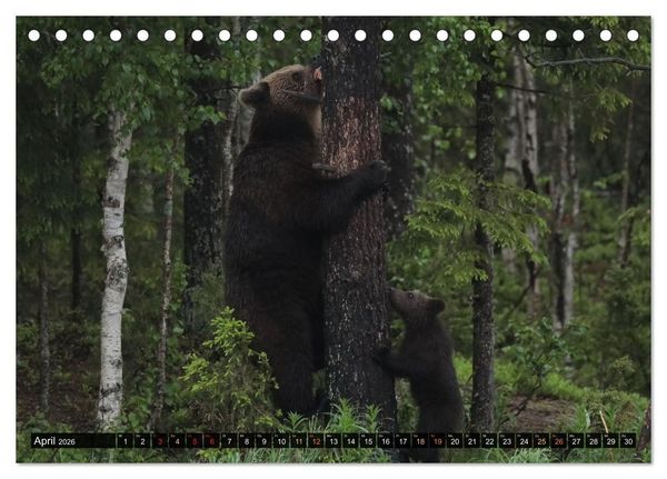 Produktbild: Die grandiose Tierwelt von Finnland (Tischkalender 2026 DIN A5 quer), CALVENDO Monatskalender