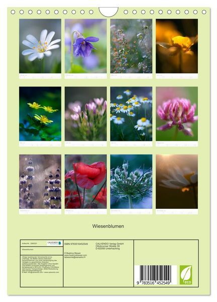 Produktbild: Wiesenblumen (Wandkalender 2026 DIN A4 hoch), CALVENDO Monatskalender