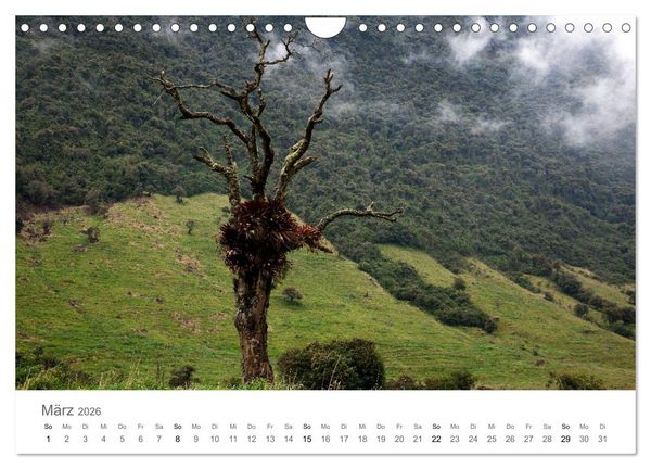 Produktbild: Ecuador - Regenwald und Vulkane (Wandkalender 2026 DIN A4 quer), CALVENDO Monatskalender