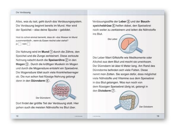 Produktbild: Ich kenne meinen K&ouml;rper - 3 Arbeitshefte im Set