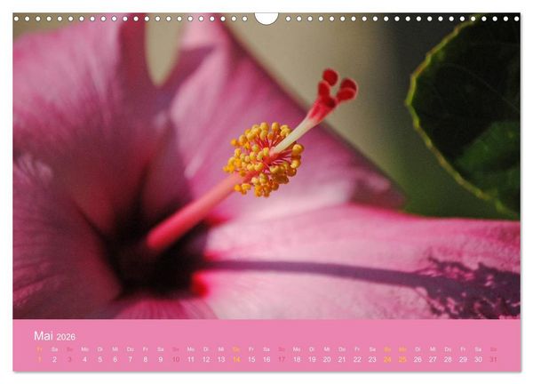 Produktbild: Hawaii Paradies auf Erden (Wandkalender 2026 DIN A3 quer), CALVENDO Monatskalender