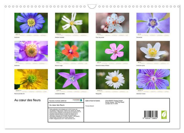Produktbild: Au c&oelig;ur des fleurs (Calendrier mural 2026 DIN A3 vertical), CALVENDO calendrier mensuel