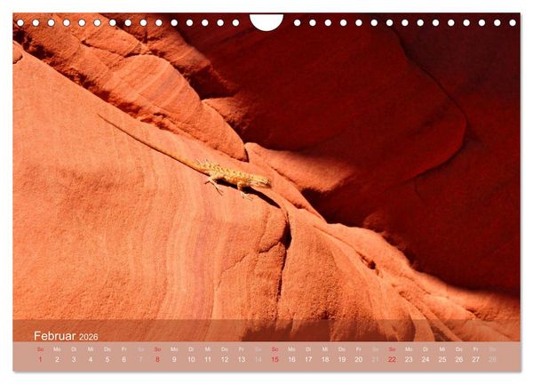 Produktbild: Der Antelope Canyon (Wandkalender 2026 DIN A4 quer), CALVENDO Monatskalender