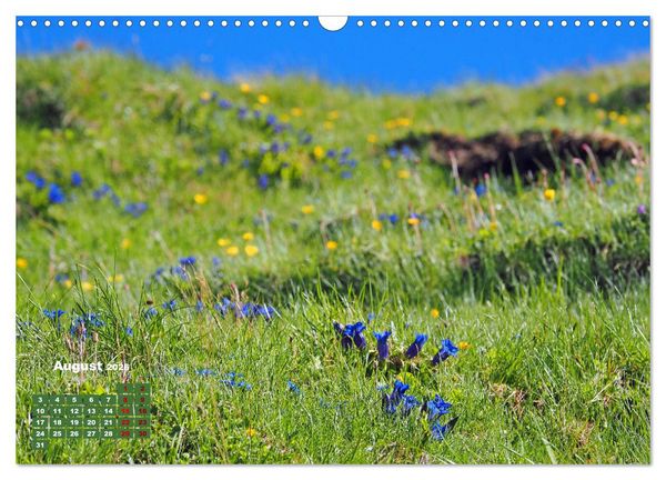 Produktbild: Gro&szlig;glockner wundersch&ouml;ne Berg- und Tierwelt (Wandkalender 2026 DIN A3 quer), CALVENDO Monatskalender