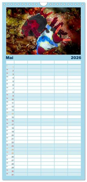 Produktbild: Familienplaner 2026 - Nudis &ndash; Die bunte Welt der Nacktschnecken mit 5 Spalten (Wandkalender, 21 x 45 cm) CALVENDO