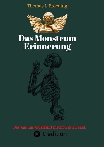 Produktbild: Das Monster Erinnerung. Manchen Schmerz m&ouml;chte man vergessen. Aber nach &uuml;ber 60 Lebensjahren l&auml;sst sich auch von Engeln der Erinnerung berichten.