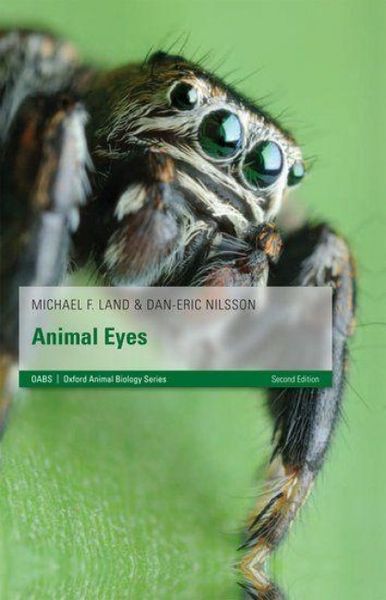 Produktbild: Animal Eyes