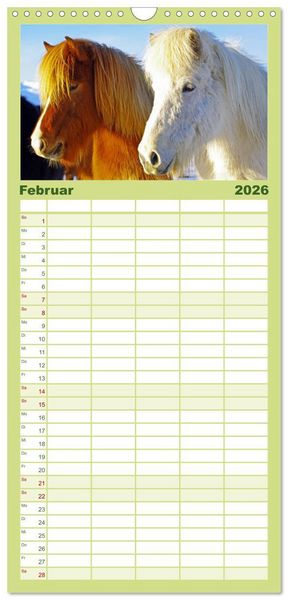 Produktbild: Familienplaner 2026 - Die Pferde Islands mit 5 Spalten (Wandkalender, 21 x 45 cm) CALVENDO