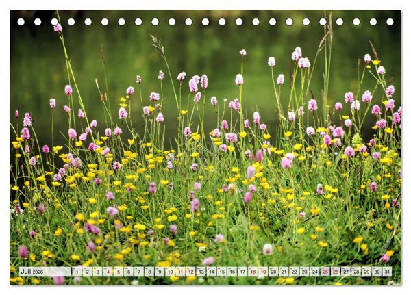 Produktbild: Georgien - Kirchen Kl&ouml;ster Kaukasus (Tischkalender 2026 DIN A5 quer), CALVENDO Monatskalender