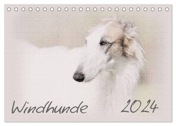 Windhunde 2024 (Tischkalender 2024 DIN A5 quer), CALVENDO Monatskalender