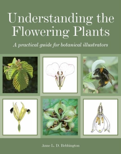 Produktbild: Understanding the Flowering Plants