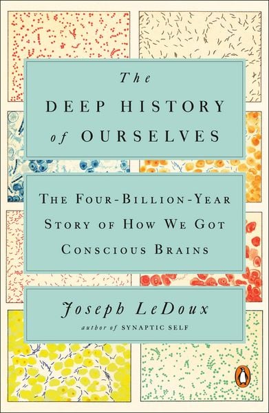Produktbild: The Deep History of Ourselves