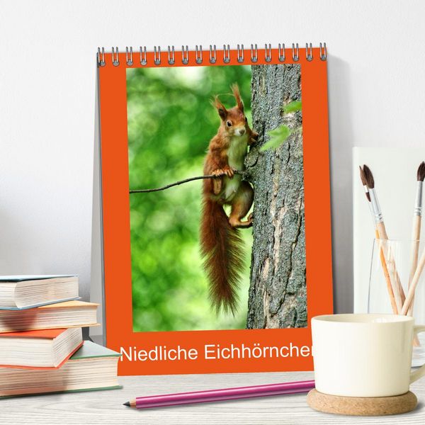 Produktbild: Niedliche Eichh&ouml;rnchen (Tischkalender 2026 DIN A5 hoch), CALVENDO Monatskalender