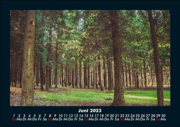 Produktbild: Waldzauber 2025 Fotokalender DIN A5