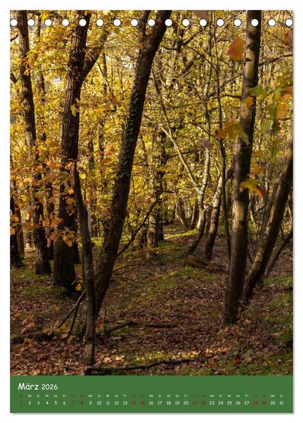 Produktbild: Ich bin dann mal im Wald (Tischkalender 2026 DIN A5 hoch), CALVENDO Monatskalender