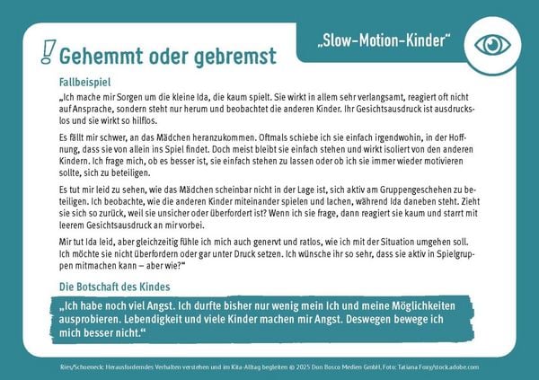 Produktbild: Herausforderndes Verhalten verstehen und im Kita-Alltag begleiten