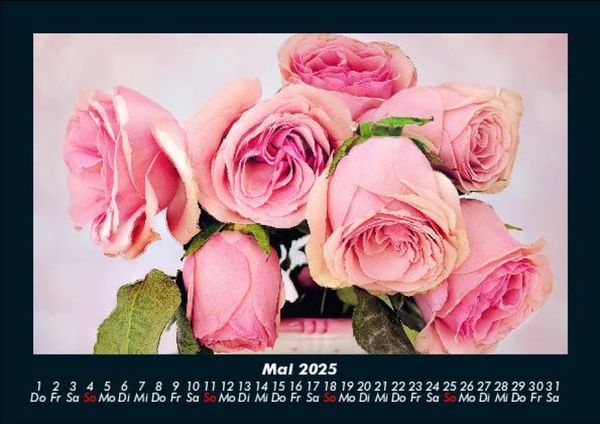 Produktbild: Rosen-Kalender 2025 Fotokalender DIN A5