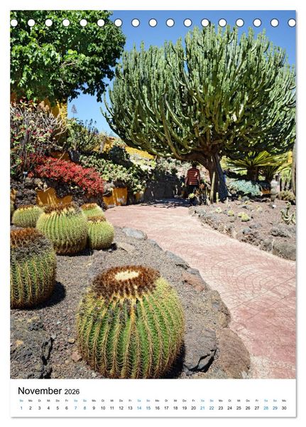 Produktbild: Gran Canaria - Urlaubsinsel f&uuml;r Sonnenanbeter (Tischkalender 2026 DIN A5 hoch), CALVENDO Monatskalender