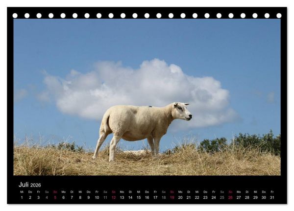 Produktbild: Texel, eine Perle Hollands (Tischkalender 2026 DIN A5 quer), CALVENDO Monatskalender