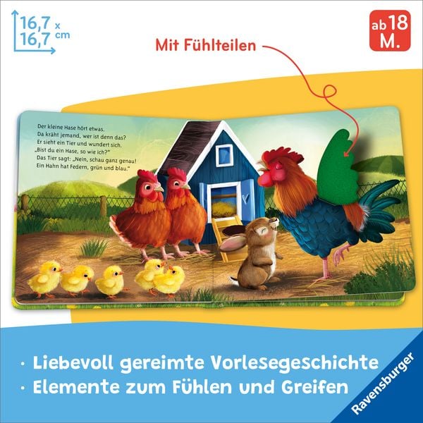 Produktbild: Mein erstes Vorlese-F&uuml;hlbuch - Bist du ein Hase?