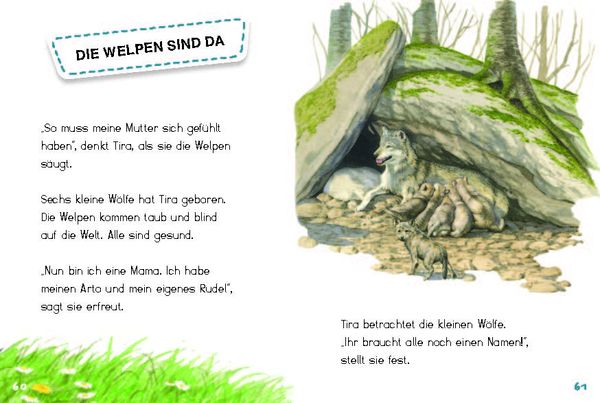 Produktbild: Tira, die junge Wölfin