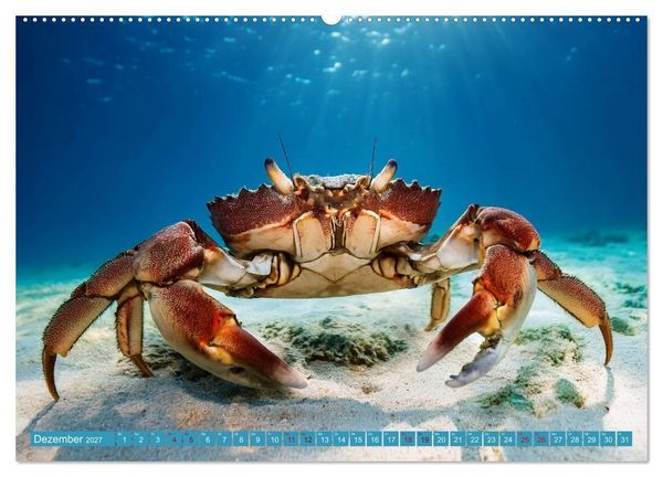 Produktbild: Ungew&ouml;hnliches Unterwasserleben (hochwertiger Premium Wandkalender 2027 DIN A2 quer), Kunstdruck in Hochglanz