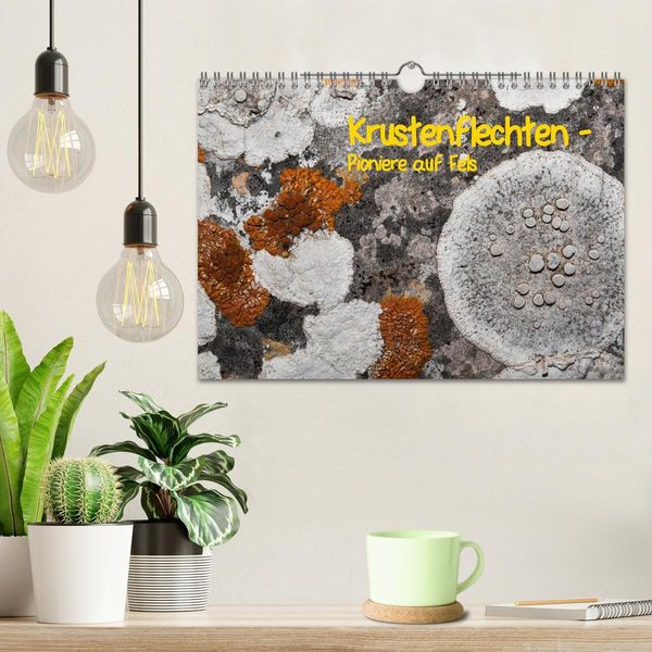 Produktbild: Krustenflechten - Pioniere auf Fels (Wandkalender 2026 DIN A4 quer), CALVENDO Monatskalender