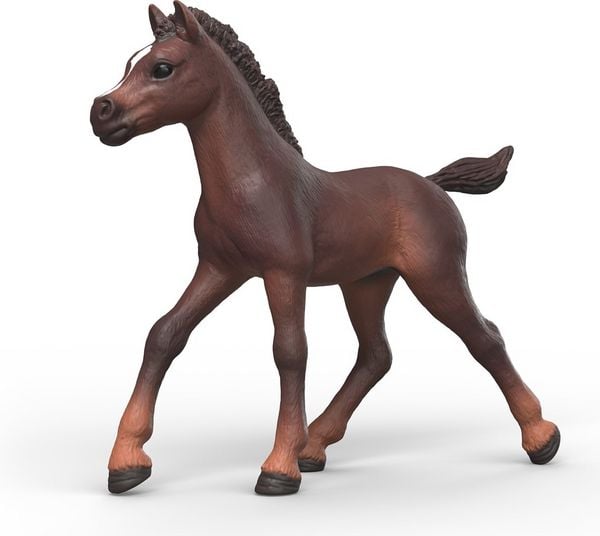 Produktbild: Schleich 81479 - Horse Club, Sammelfohlen Ravi, Tierfigur