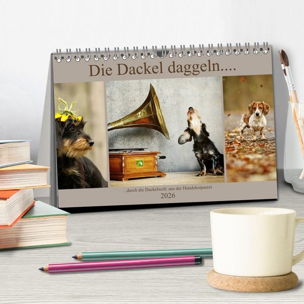 Produktbild: Die Dackel daggeln.... (Tischkalender 2026 DIN A5 quer), CALVENDO Monatskalender