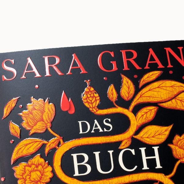 Produktbild: Das Buch der kostbarsten Substanz
