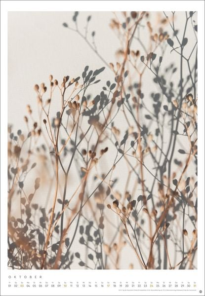 Produktbild: Mareike B&ouml;hmer: pure & simple Kalender 2027