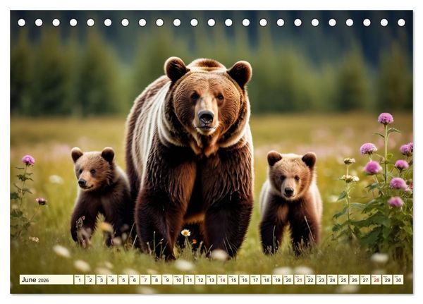 Produktbild: Small and large bears (Desk Calendar 2026 DIN A5 landscape), CALVENDO 12 Month DeskCalendar