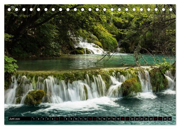 Produktbild: Waldwasser (Tischkalender 2026 DIN A5 quer), CALVENDO Monatskalender