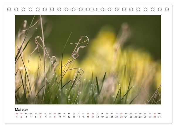 Produktbild: Naturkunstwerke (Tischkalender 2027 DIN A5 quer), CALVENDO Monatskalender
