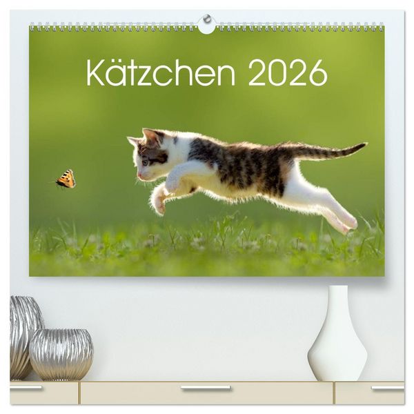 Kätzchen 2026 (hochwertiger Premium Wandkalender 2026 DIN A2 quer), Kunstdruck in Hochglanz