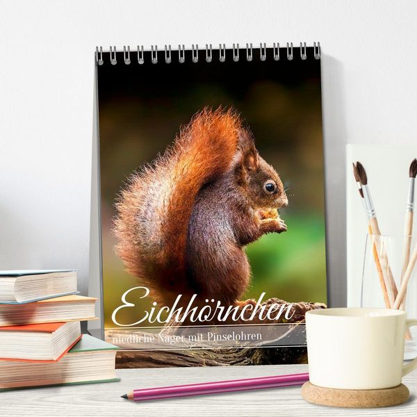 Produktbild: Niedlicher Nager - Das Eichh&ouml;rnchen (Tischkalender 2026 DIN A5 hoch), CALVENDO Monatskalender