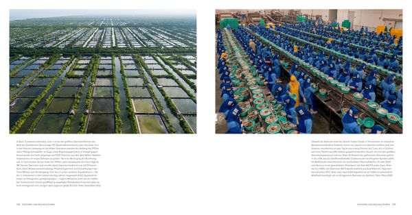 Produktbild: Feed the Planet