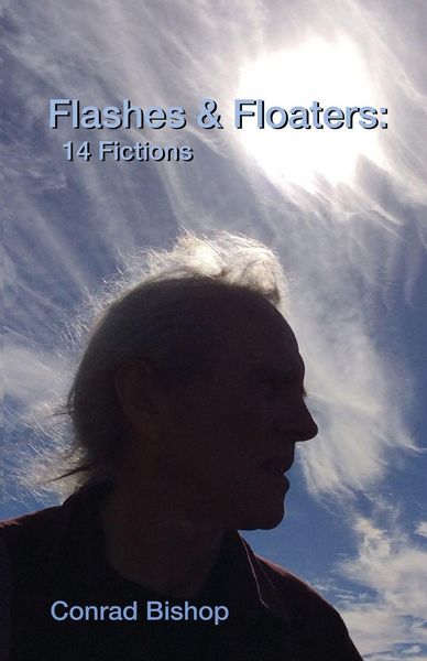 Produktbild: Flashes & Floaters