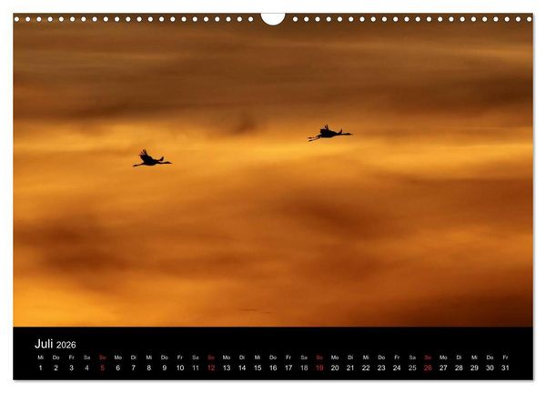 Produktbild: Kraniche (Wandkalender 2026 DIN A3 quer), CALVENDO Monatskalender