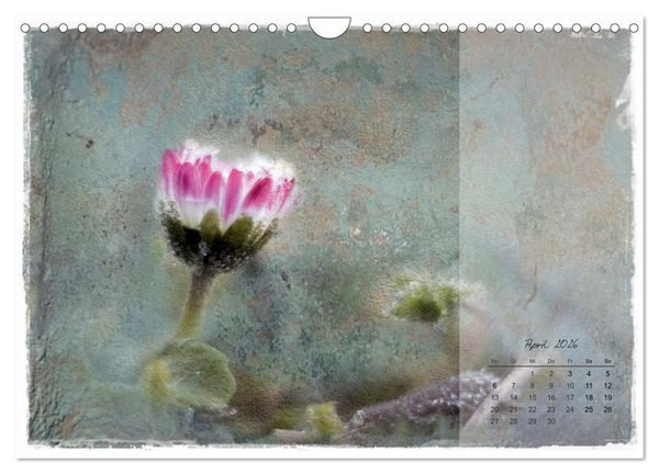 Produktbild: Bl&uuml;te trifft auf Aquarell (Wandkalender 2026 DIN A4 quer), CALVENDO Monatskalender