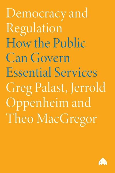 Produktbild: Democracy and Regulation