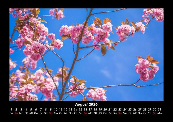 Produktbild: Blumentr&auml;ume 2026 Fotokalender DIN A3