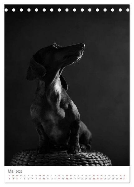 Produktbild: Fine Art Hundeportraits (Tischkalender 2026 DIN A5 hoch), CALVENDO Monatskalender