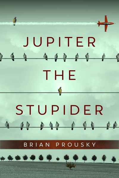 Produktbild: Jupiter the Stupider