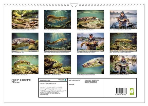 Produktbild: Aale in Seen und Fl&uuml;ssen (Wandkalender 2027 DIN A3 quer), CALVENDO Monatskalender